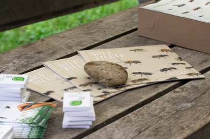 Weltbienentag am 20. Mai - Wen feiern wir heute? Weltbienentag am 20. Mai - Wen feiern wir heute?