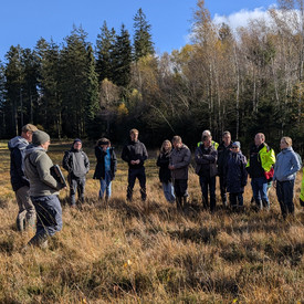 ReMooS - Regionale Moorsteuerung