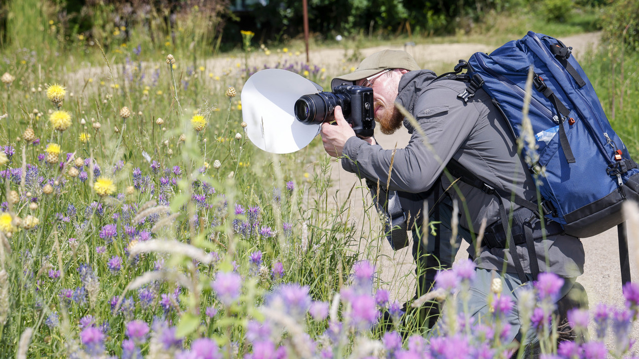 ArtenFinder-Mitarbeiter und Biologe Chris Dlouhy fotografiert mit Spezialausrüstung Pflanzen.
