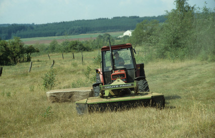 Landwirtschaft