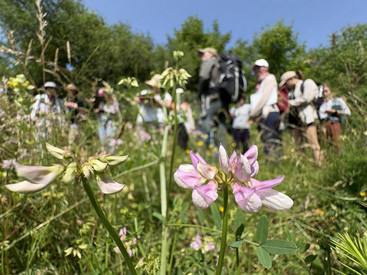 16 Teilnehmende beim ersten BANU-Kurs Feldbotanik BRONZE in Mainz