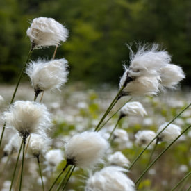 Koordinierungsstellen (m/w/d) im Projekt INAWI ReMooS Koordinierungsstellen (m/w/d) im Projekt INAWI ReMooS