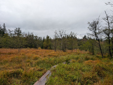 Maßnahmen aus Ersatzzahlungen (EZG)