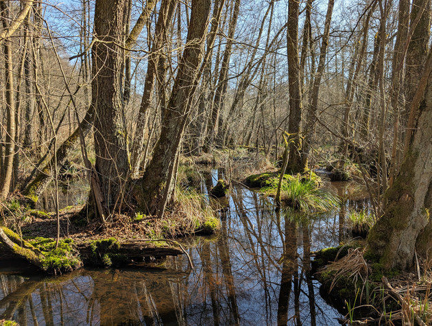World Wetlands Day & 24 Stunden der Biodiversität im Lautertal