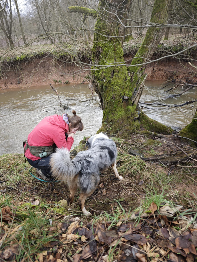 Artenspürhunde liefern neue Otternachweise in Rheinland-Pfalz