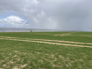 Blick über das Ober-Hilbersheimer Plateau
