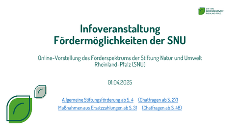 Vergangene Veranstaltung: Online-Förderworkshop der SNU mit rund 130 Teilnehmenden