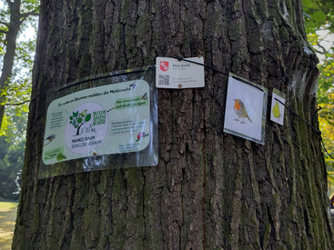 Projekt Main(z)Baum - Dein Lebensraum präsentiert sich beim Weinmarkt im Mainzer Stadtpark