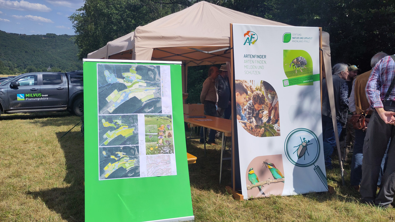 Informationsbanner bei derProjektvorstellung "Schmetterlingswiesen in Siesbach"