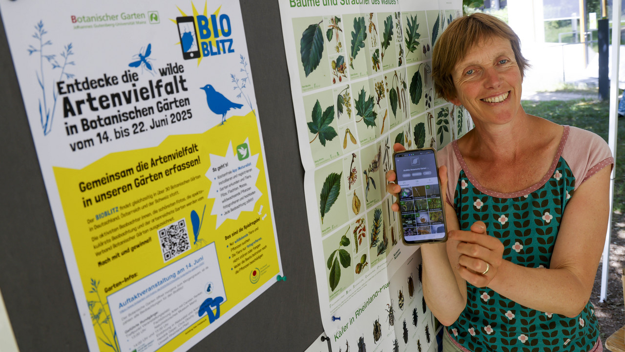 Dr. Ute Becker, Leiterin des Mainzer Botanischen Garten, zeigt ihr Smartphone mit der Bestimmungs-App.