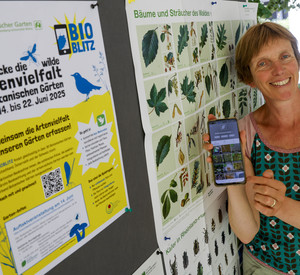 Dr. Ute Becker, Leiterin des Mainzer Botanischen Garten, zeigt ihr Smartphone mit der Bestimmungs-App.