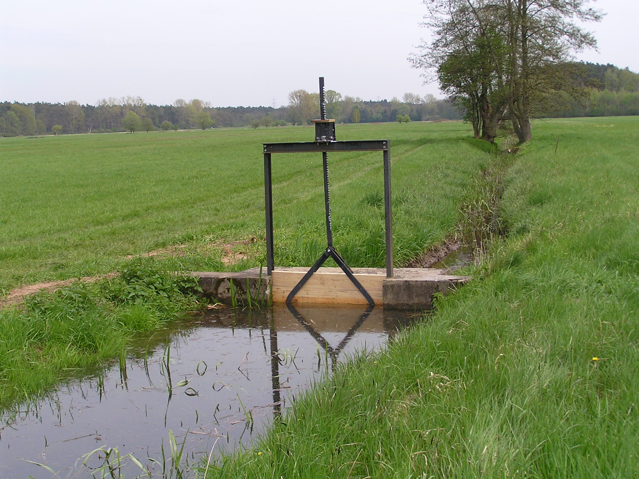 Holzwiesen Bellheim Graben