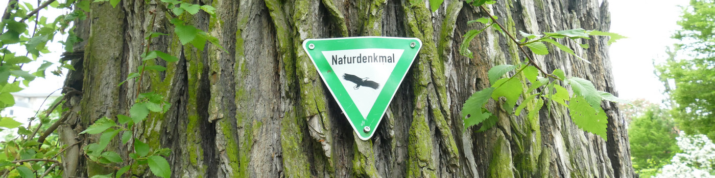 Schild: Naturdenkmal