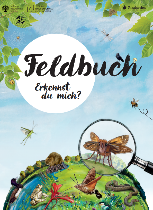 Feldbuch